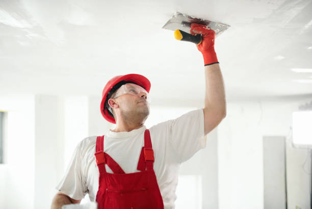 Best Drywall Crack Repair  in Erie, IL