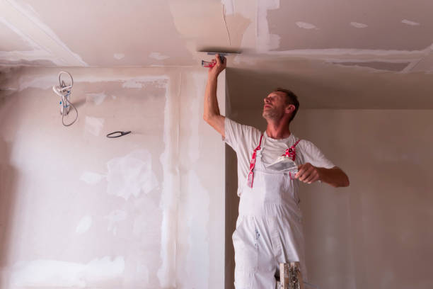 Best Ceiling Drywall Installation  in Erie, IL